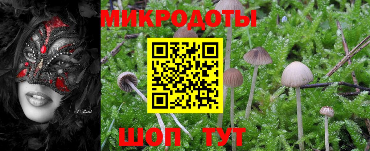 Псилоцибиновые грибы Psilocybe  Вход с VPN  магазин продажи наркотиков  Вятские Поляны 